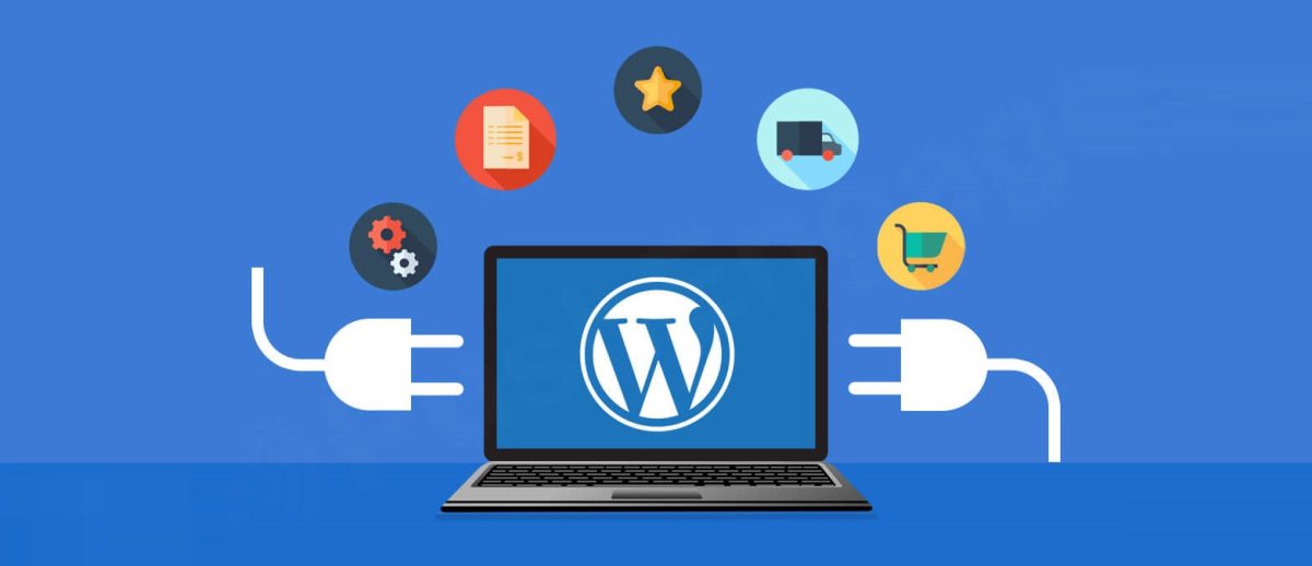 w wordpress